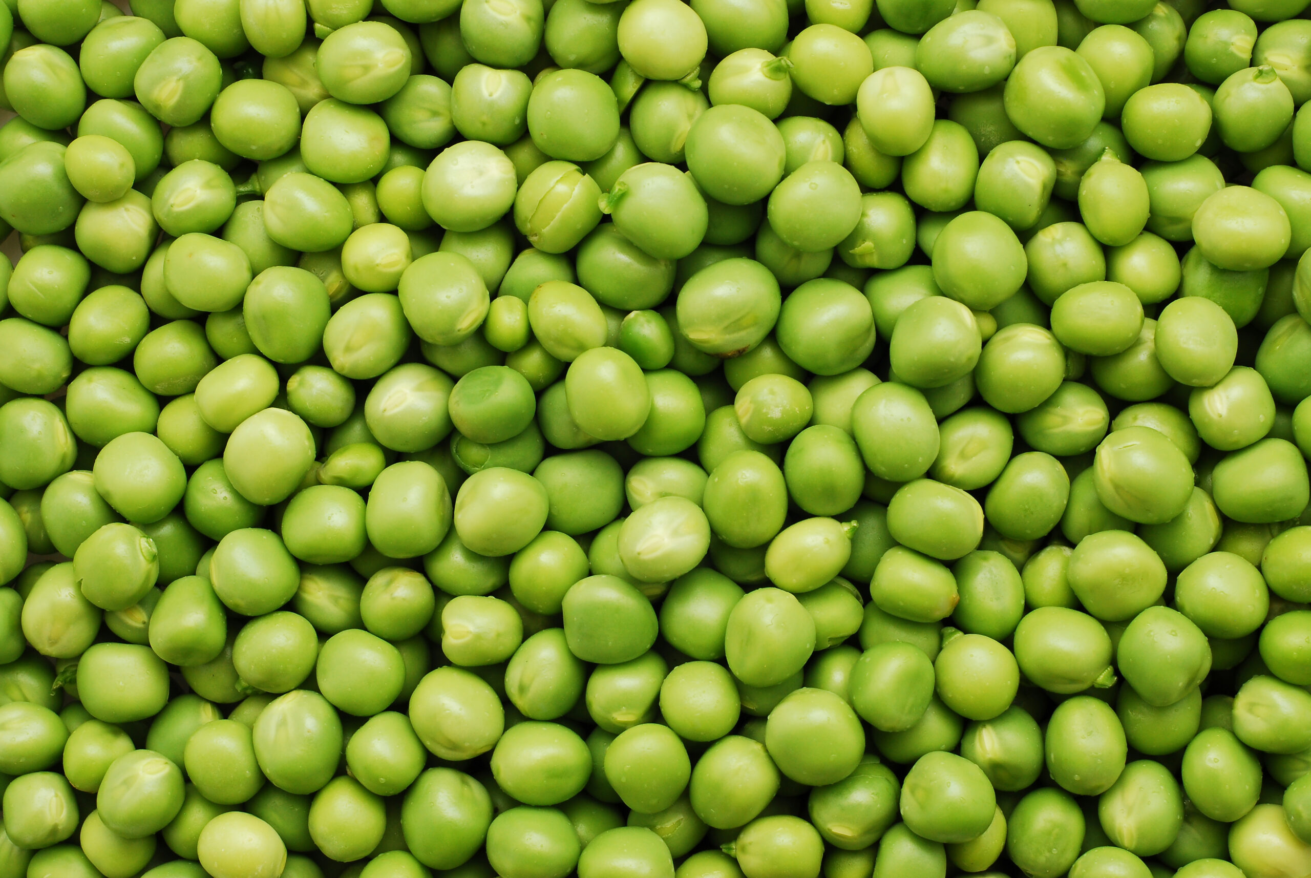 Matériaux 1
